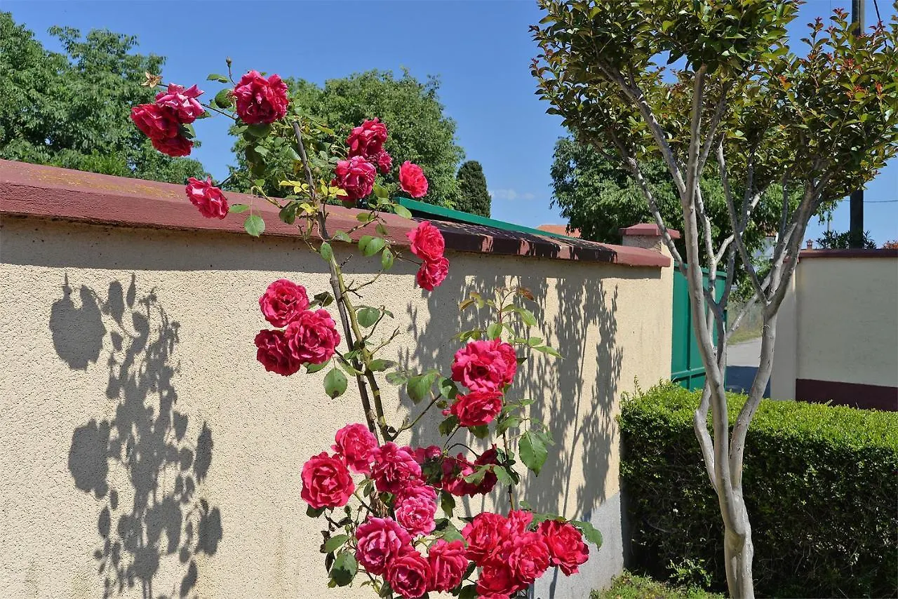 הוילה פולה House Kristina 1203 קרואטיה